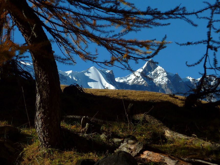 #22 Youlaz : Maudit Youlaz : Maudit