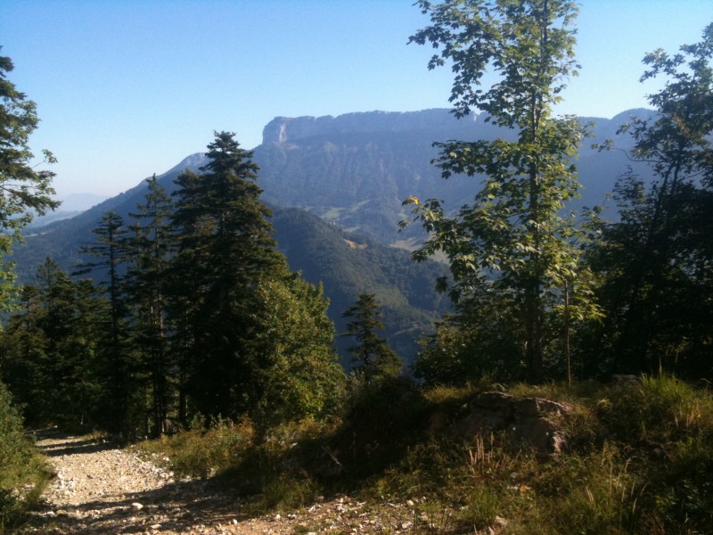 le Parmelan : depuis la montée sur la piste forestière vers le Mont Baron