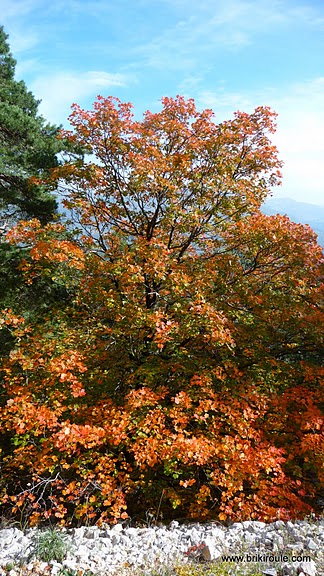 #3 Ventoux : l Ventoux : l'automne arrive...