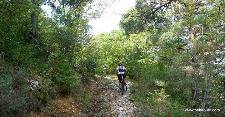 #2 Ventoux : le sentier "roulant"... Ventoux : le sentier "roulant"...