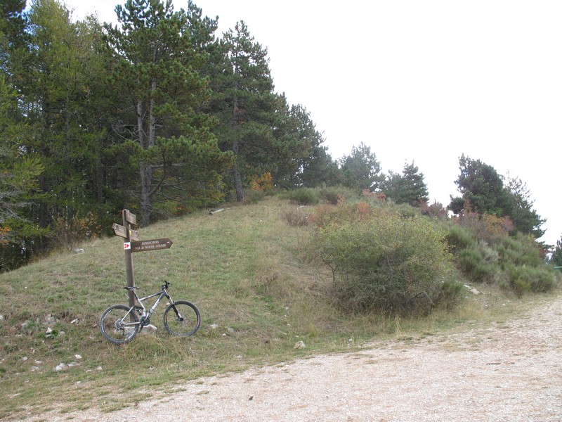 signalétique locale : Col des Selles, le sentier de crête monte dans le sous bois