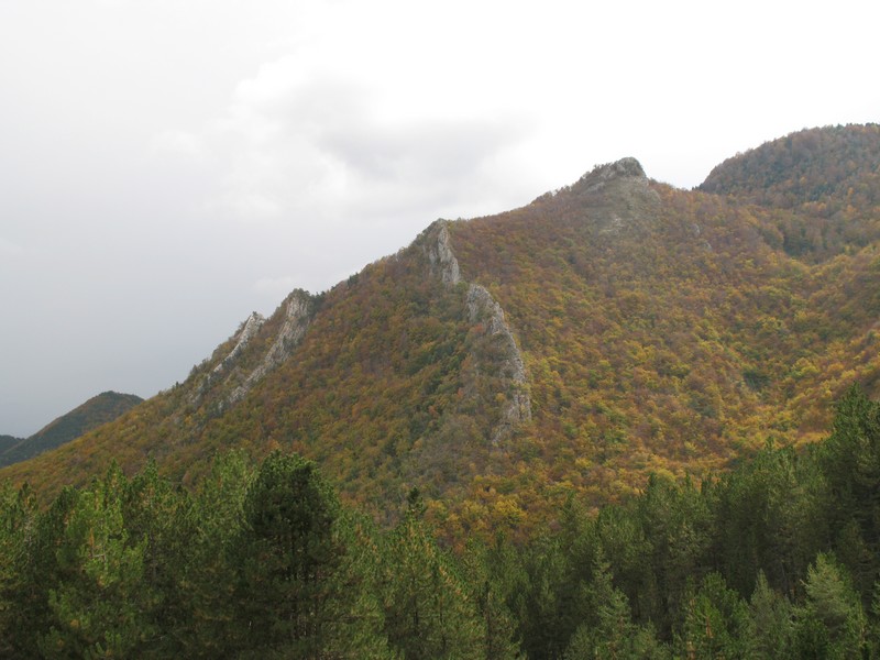 vers l'ouest : lors de la descente sur Barcillonnette