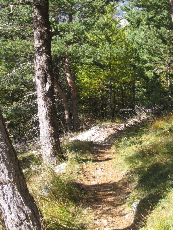 #6 Sentier des ravins : Départs Sentier des ravins : Départs