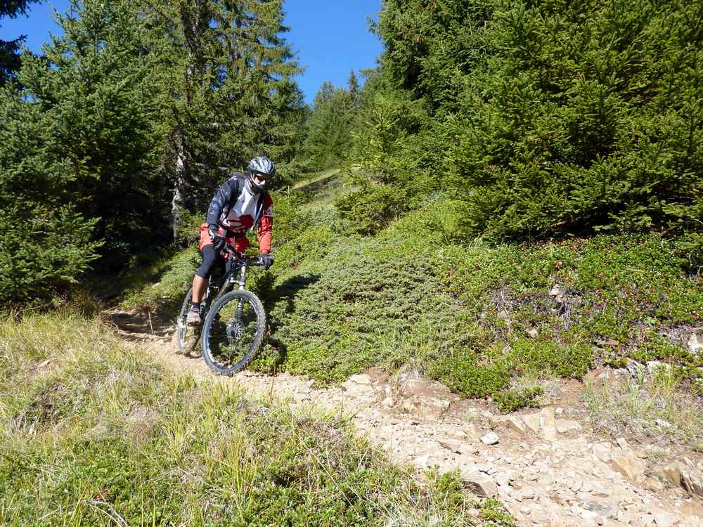 #7 Grenonière : dans la partie haute en traversée Grenonière : dans la partie haute en traversée