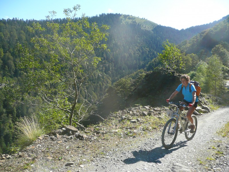 #1 Col de Saunères : Sur la piste pour monter au col Col de Saunères : Sur la piste pour monter au col