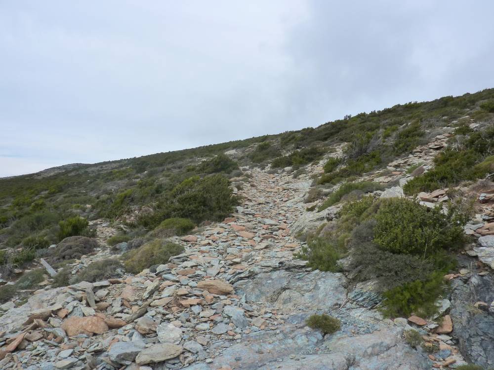 #15 Montée à San Ghjacintu : La descente promet d Montée à San Ghjacintu : La descente promet d'être remuante !
Mais c'est 100 % cyclable avec de bonnes suspensions...