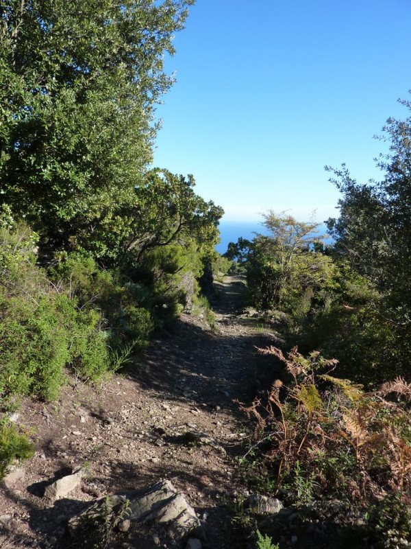 #8 Descente parfaite : Yesss Descente parfaite : Yesss