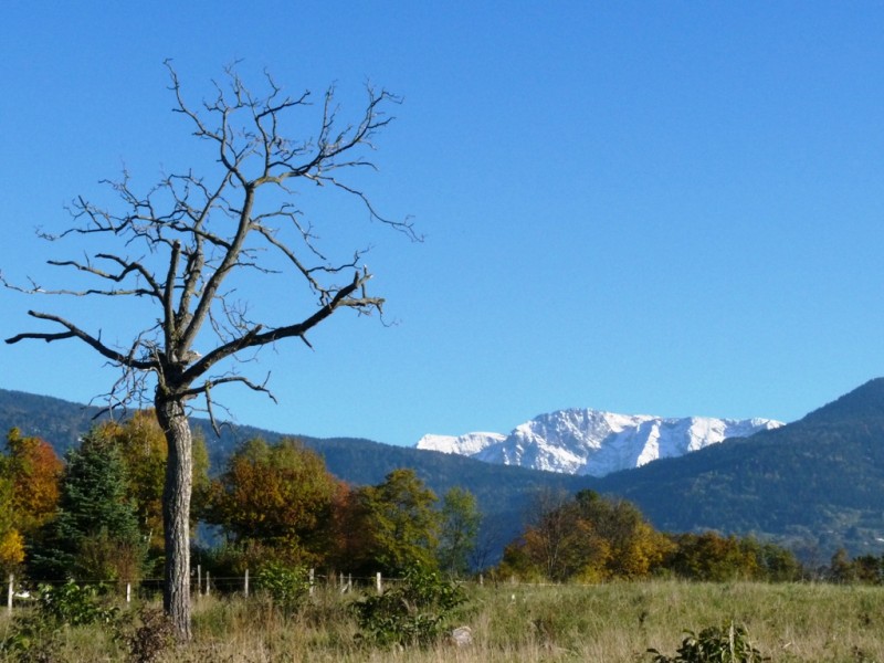 #3 Le Taillefer : avec le contraste automne hiver. Le Taillefer : avec le contraste automne hiver.