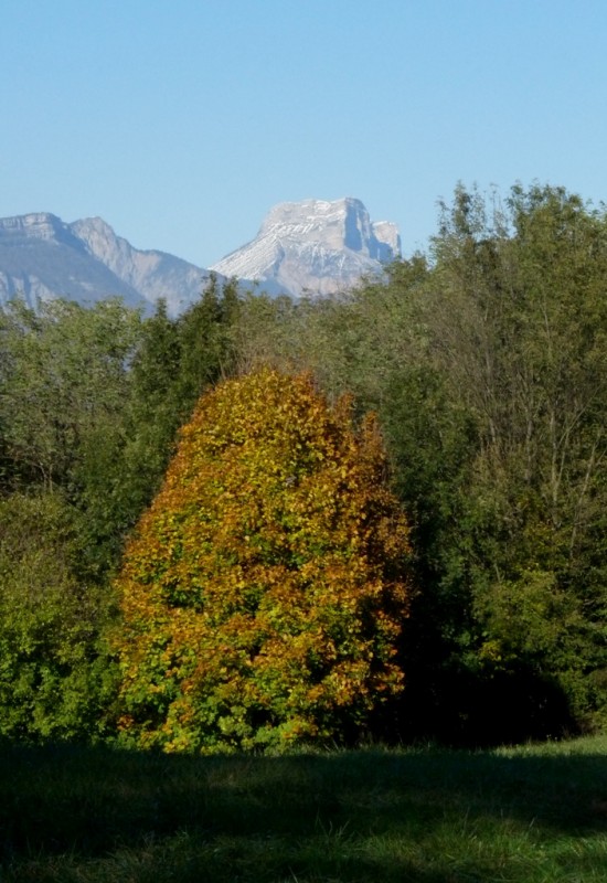 #2 La Dent de Crolles : la neige a déjà bien fondu. La Dent de Crolles : la neige a déjà bien fondu.