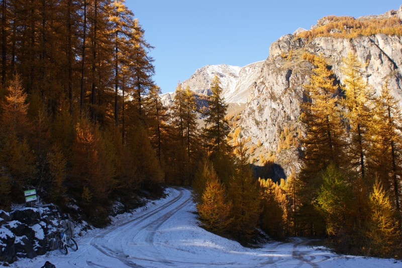 #1 Piste blanche : Un peu de neige à l Piste blanche : Un peu de neige à l'ombre