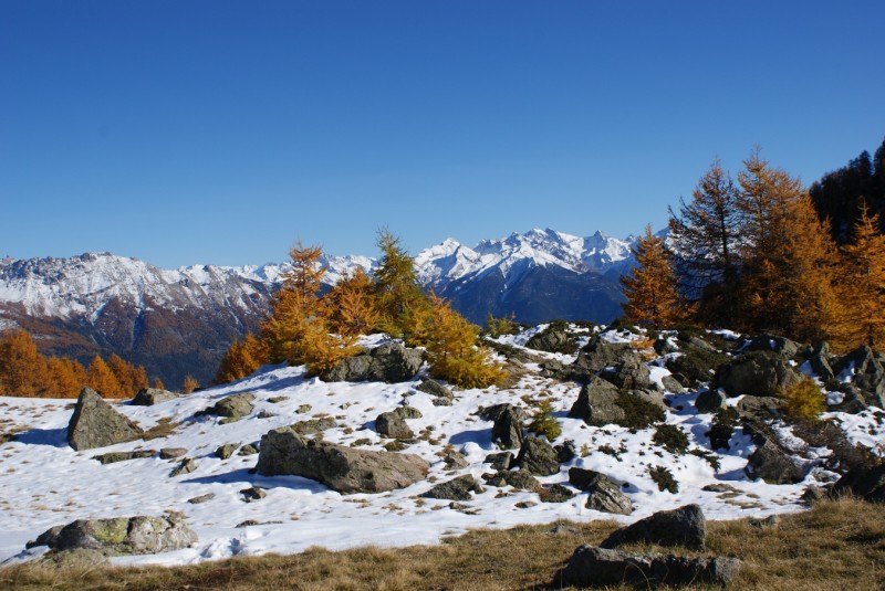 #6 Sous le col : Quelles couleurs... Sous le col : Quelles couleurs...