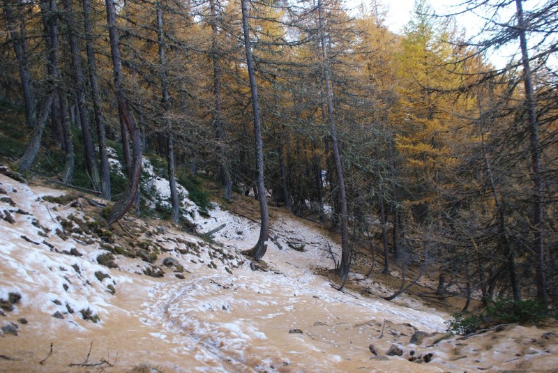 #7 Col des Combes : Un peu au dessus du col. Aiguilles oranges sur tapis blanc. Col des Combes : Un peu au dessus du col. Aiguilles oranges sur tapis blanc.