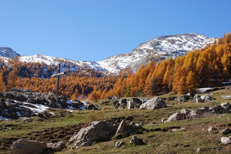 #2 Cabane de Tramouillon : Juste au dessus de la cabane Cabane de Tramouillon : Juste au dessus de la cabane