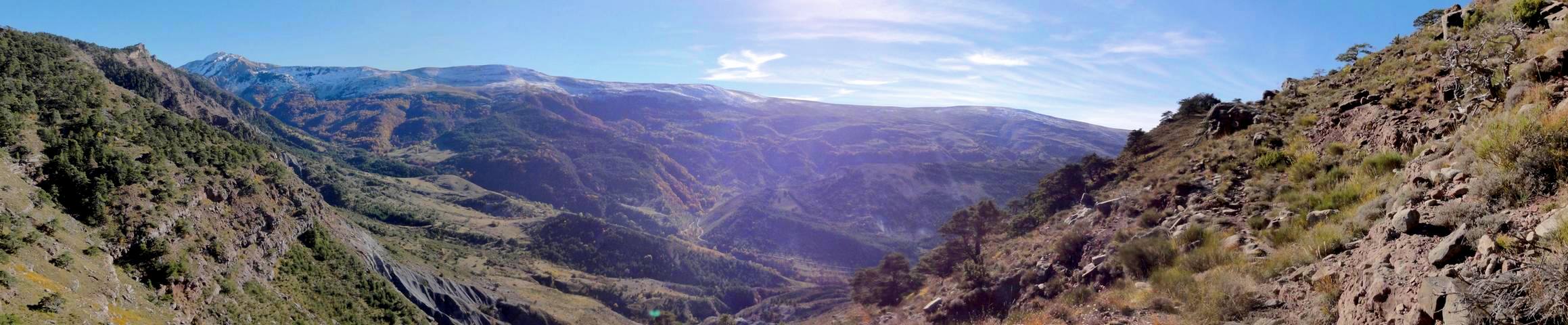 #5 Montagne des Monges : Vue de l Montagne des Monges : Vue de l'Adret de Baudinard