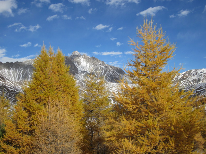 #7 Rochebrune : Le Rochebrune et son couloir Sud Rochebrune : Le Rochebrune et son couloir Sud