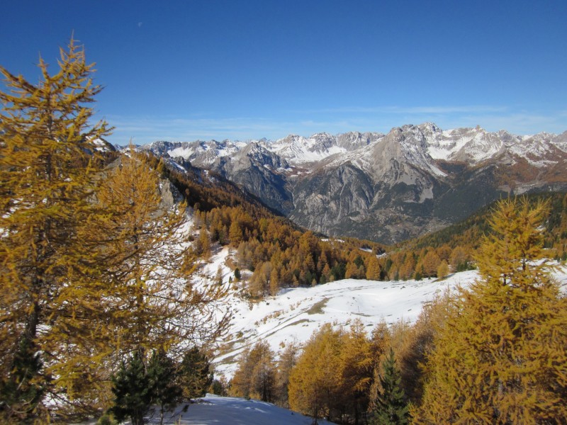 #1 Queyras : magnifique journée hier sur la Crête des Chambrettes, mais trop enneigée pour du Vtt, même si des traces dans la descente du Col du Fromage sur Ceillac. Queyras : magnifique journée hier sur la Crête des Chambrettes, mais trop enneigée pour du Vtt, même si des traces dans la descente du Col du Fromage sur Ceillac.