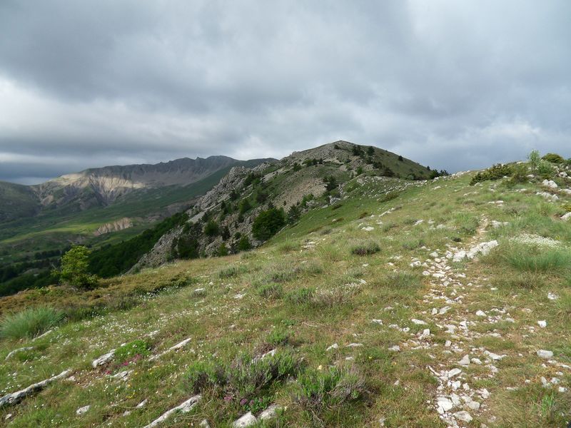 #21 Vue d Vue d'ensemble : Des kilomètres de descente depuis le sommet des Monges... Un régal !!!