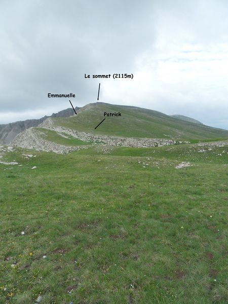 #19 Freeride way : Voici la descente (partie haute, sous le sommet), dans des océans de verdure... Freeride way : Voici la descente (partie haute, sous le sommet), dans des océans de verdure...