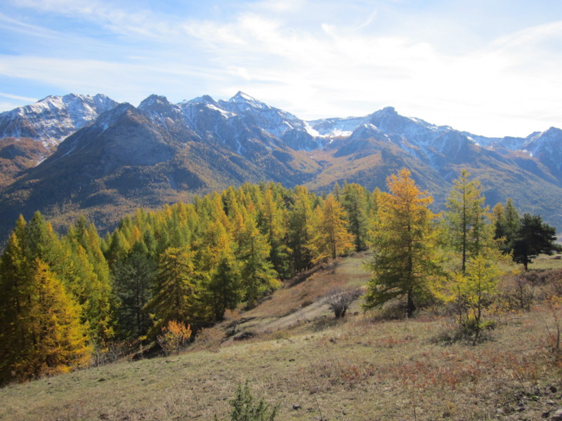 #2 Sachas : en approchant de Ratière, vue sur le Queyras Ouest. Sachas : en approchant de Ratière, vue sur le Queyras Ouest.