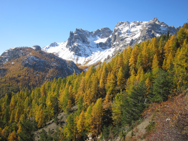 #4 Sachas : Tenailles et Pic de Montbrison Sachas : Tenailles et Pic de Montbrison