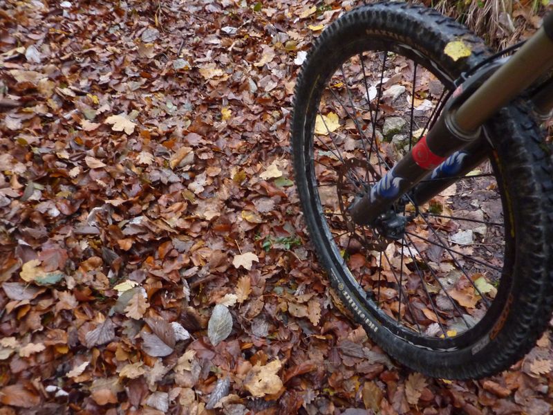 #2 C C'est l'automne ! : Youpi !