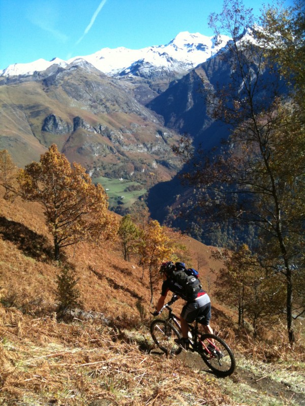 #2 Epingles.. : ..et fougères Epingles.. : ..et fougères