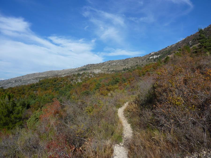 #2 Sentier du flanc Ouest : Le remonter est ardu, mais très plaisant Sentier du flanc Ouest : Le remonter est ardu, mais très plaisant
