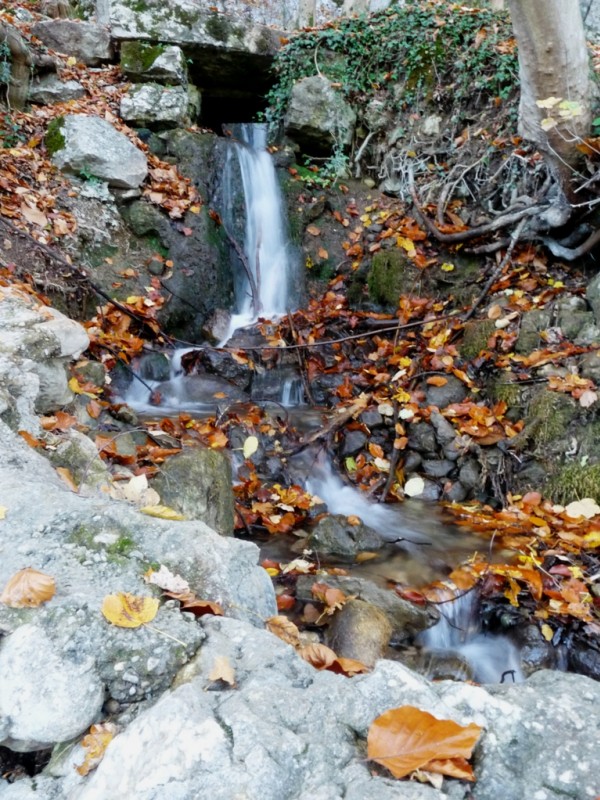 #8 Petit ruisseau : toujours une belle ambiance. Petit ruisseau : toujours une belle ambiance.