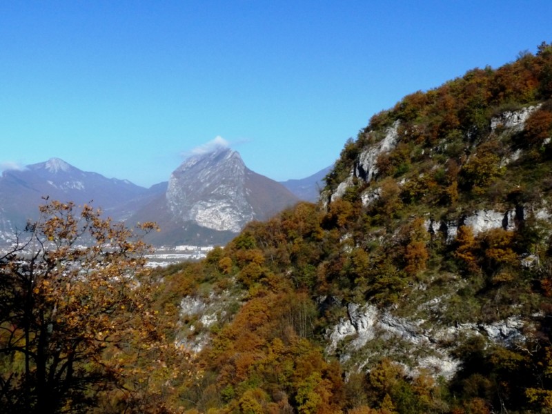#6 Combe Vailier : et le Néron. Combe Vailier : et le Néron.
