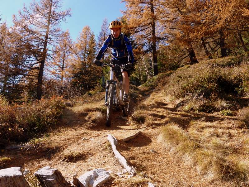 #5 Chalets de la Loriaz : On est dans les mélèzes Chalets de la Loriaz : On est dans les mélèzes