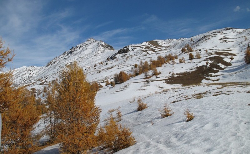 #4 Pic de l Pic de l'Agrenier : presque en haut pour cette montée dans la neige