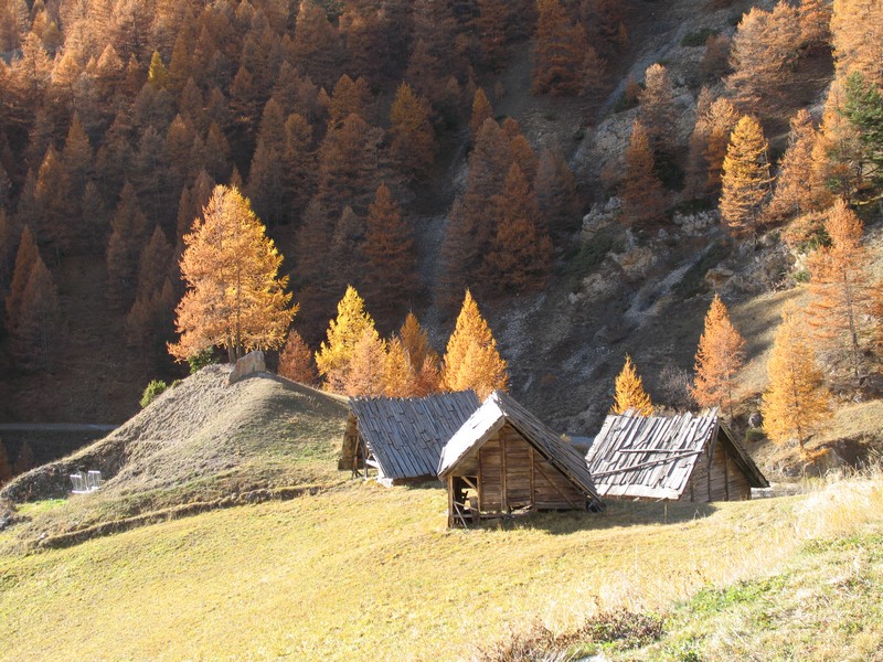 #10 abris à foin ? : dans le vallon de Souliers abris à foin ? : dans le vallon de Souliers