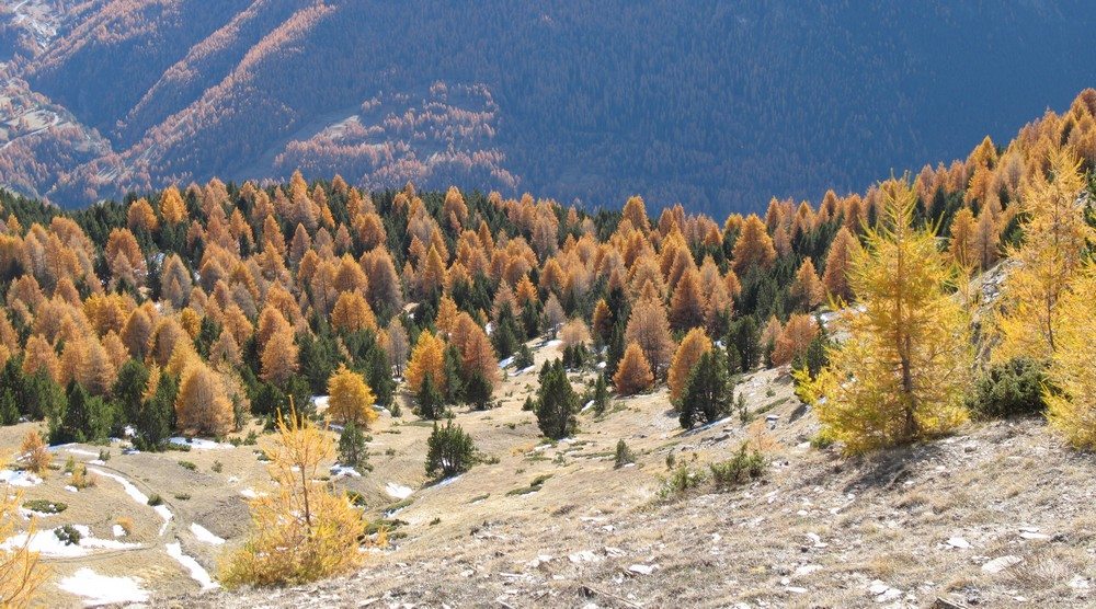 #1 lumières : depuis ce balcon du Col de la Crèche lumières : depuis ce balcon du Col de la Crèche