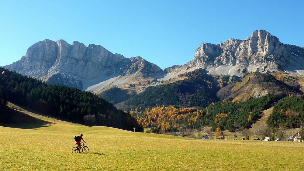 Au milieu des prés... : Al sur fond de Grand Veymont et Pierre Blanche, magnifique !!