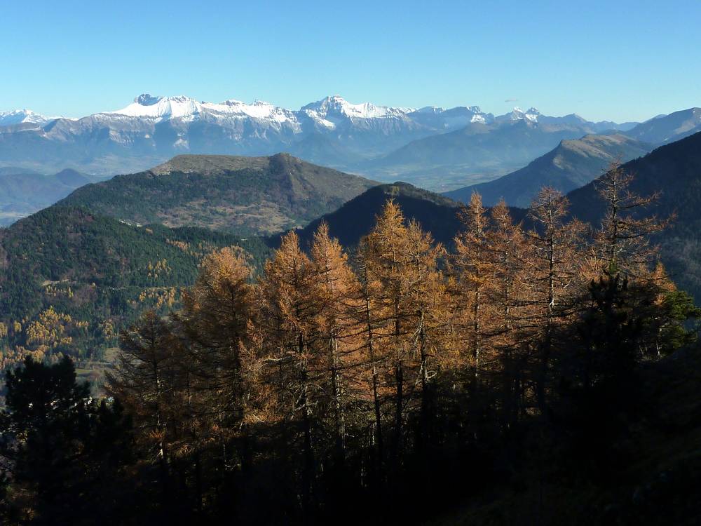 Contrastes : mélèzes flamboyants et Devoluy