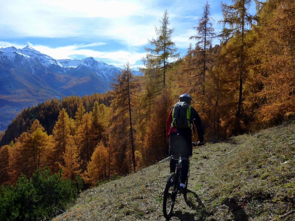 la foret est en feu !!