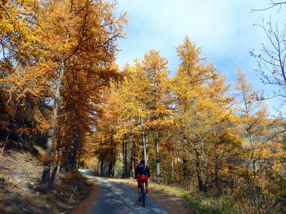 Torrent de Sachas : montée flamboyante