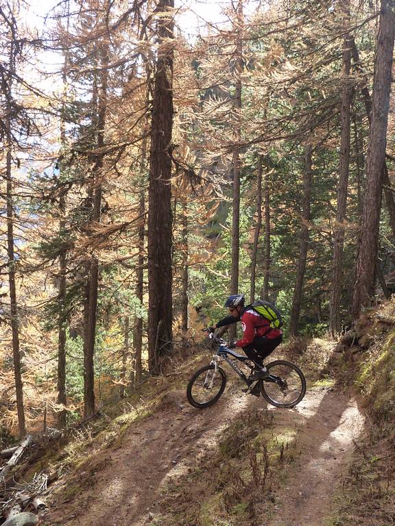 #13 epingle en sous bois, terrain super lisse epingle en sous bois, terrain super lisse