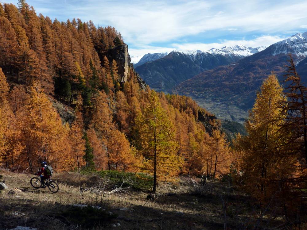 Torrent de Sachas : dans le haut de la descente, le cadre est exceptionnel