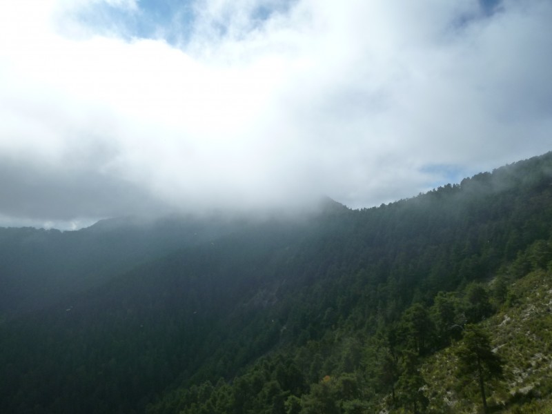 #6 Le Brec grinchonne! : et attire l Le Brec grinchonne! : et attire l'orage !!
