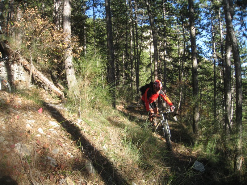 Epingle : Dans la descente Eco-sentier (Photo Siggle)