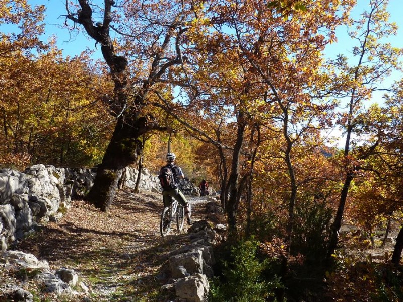 Chemin du facteur : Ce sera comme ça tout le long de la descente !