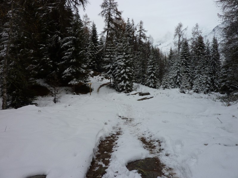 #2 Arrivée au Plan de la Cry : Passage dans la neige Arrivée au Plan de la Cry : Passage dans la neige