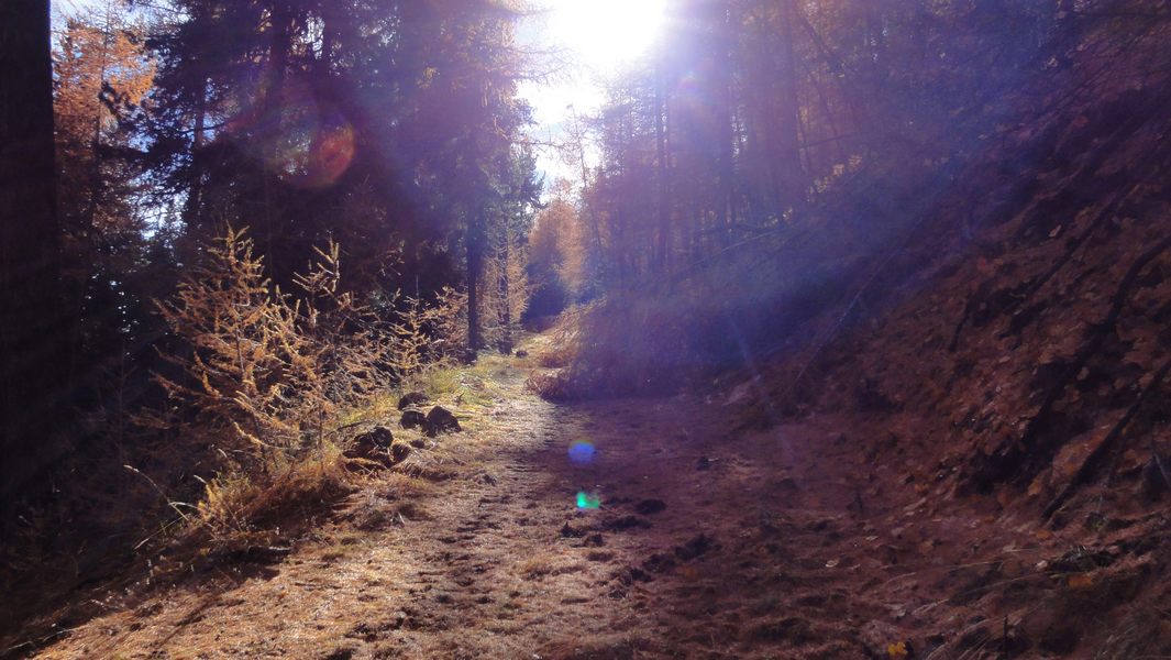 Montée dans le Mélézin : Ambiance surréaliste !!