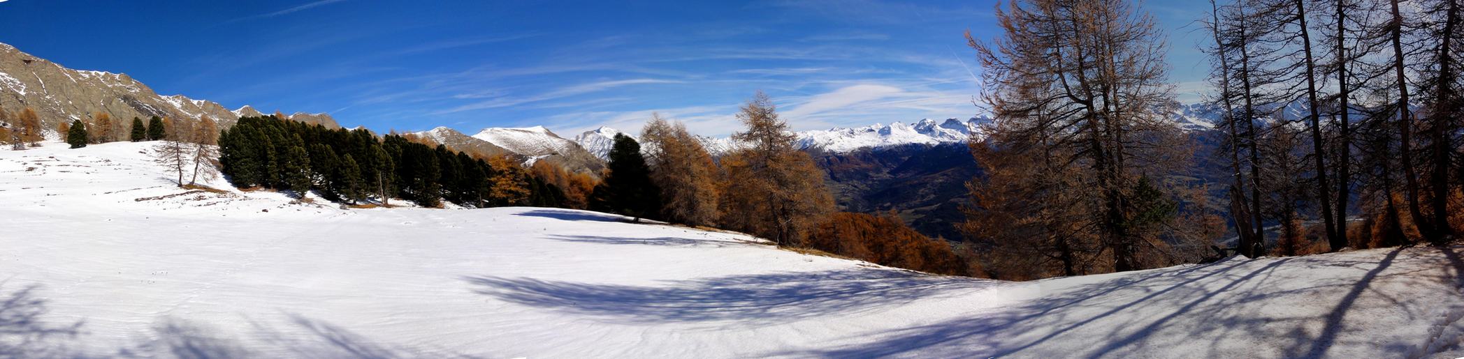 #3 Sous la Tête de Frusta : Mélèze en feu et espaces blancs : l Sous la Tête de Frusta : Mélèze en feu et espaces blancs : l'aliance magique.