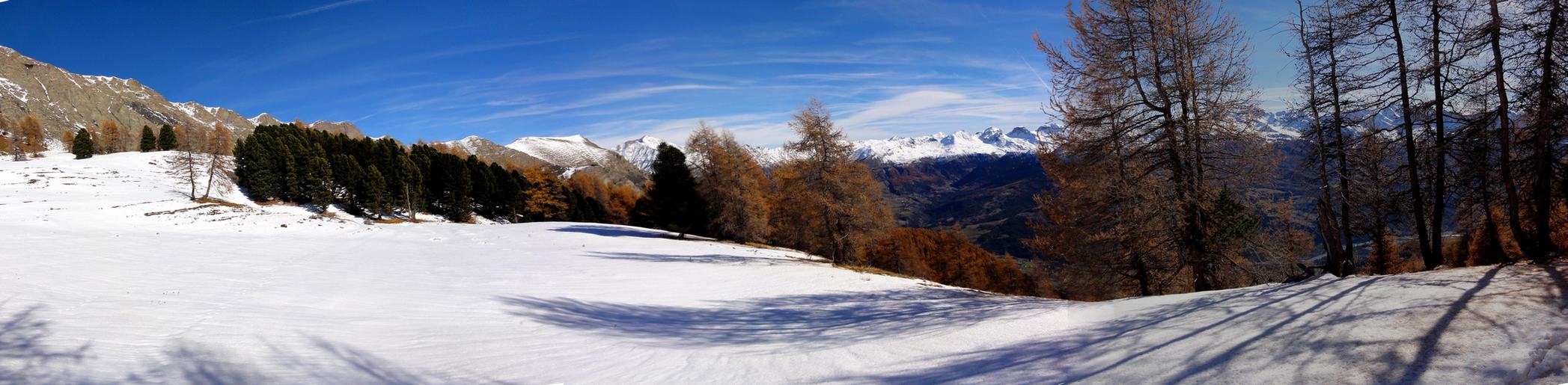 Sous la Tête de Frusta : Mélèze en feu et espaces blancs : l'aliance magique.