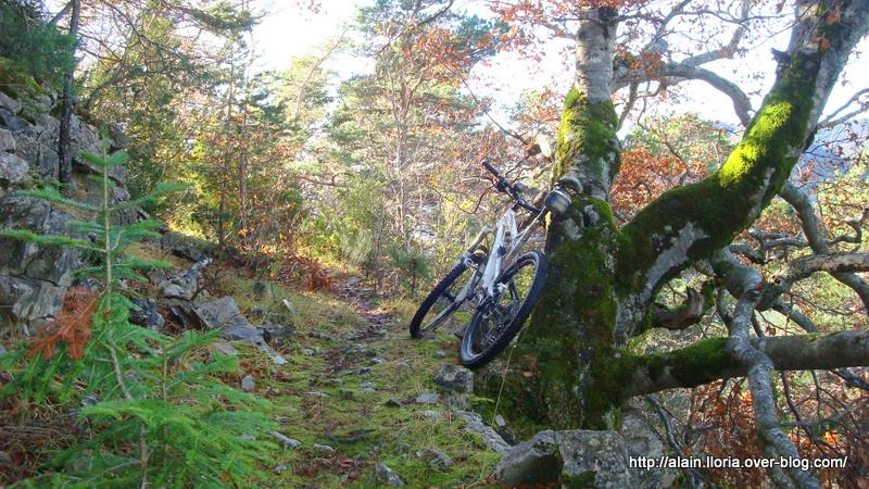 #7 Grimone : Petite pause photo Grimone : Petite pause photo