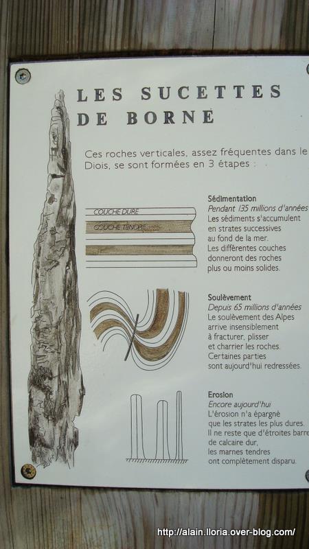 #13 Grimone : Un peu de culture ! Grimone : Un peu de culture !