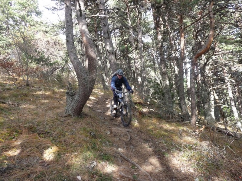 #13 Descente : dans la forêt on peu descendre à vive allure. Descente : dans la forêt on peu descendre à vive allure.