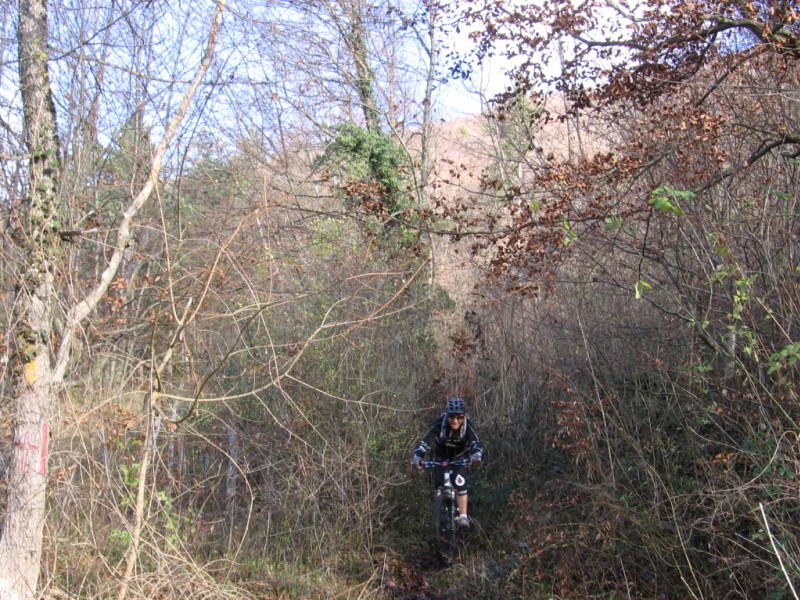 #1 Pascale : Fin du sentier et la banane. Pascale : Fin du sentier et la banane.